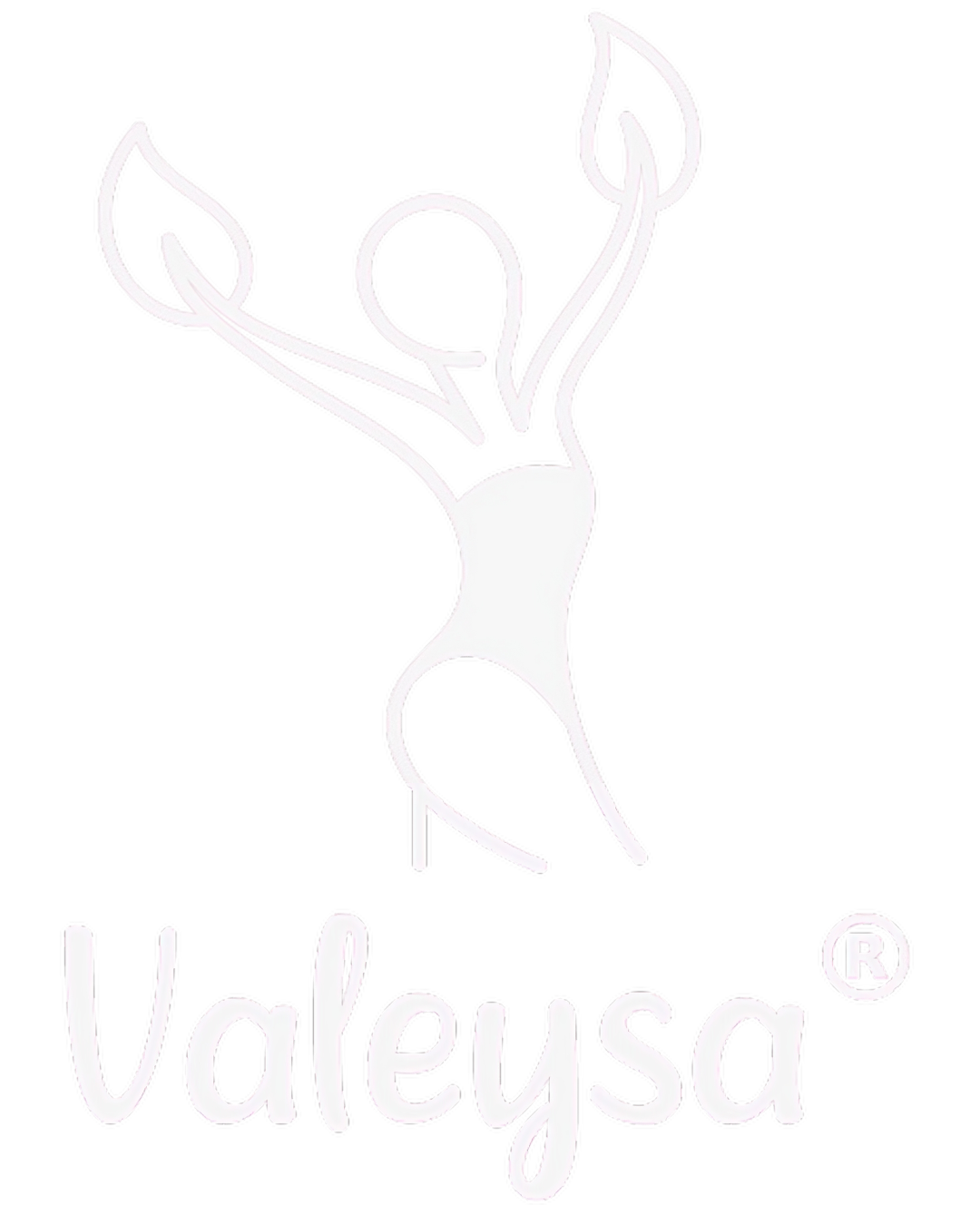 FAJAS VALEYSA MEXICO